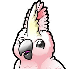 Cockatoo - Transcription tool icon